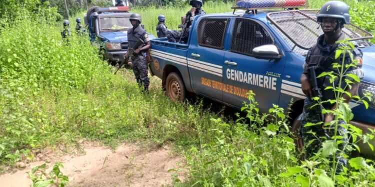 BIGNONA / VASTE OPERATION DE SECURISATION A KATABA 1 : Plus de 100 personnes arrêtées