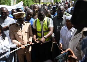 UNIVERSITÉ IBA DER THIAM DE THIÈS : Déthié Fall inaugure trois nouveaux ouvrages