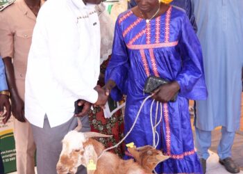 APRÈS AÉRÉ LAO MISSIRA WADENE : Le Waqf et l&rsquo;ONG Heifer remettent les premières chèvres du WAPEC à Missira Wadène