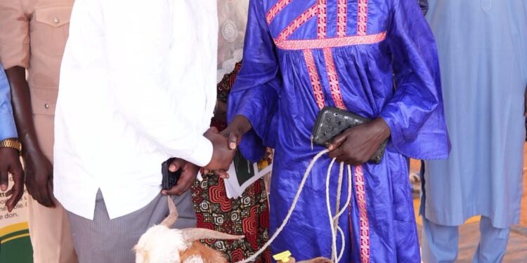 APRÈS AÉRÉ LAO MISSIRA WADENE : Le Waqf et l’ONG Heifer remettent les premières chèvres du WAPEC à Missira Wadène