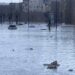 Inondations : Une réunion de crise convoquée à la Primature par le PM Al Aminou Lô